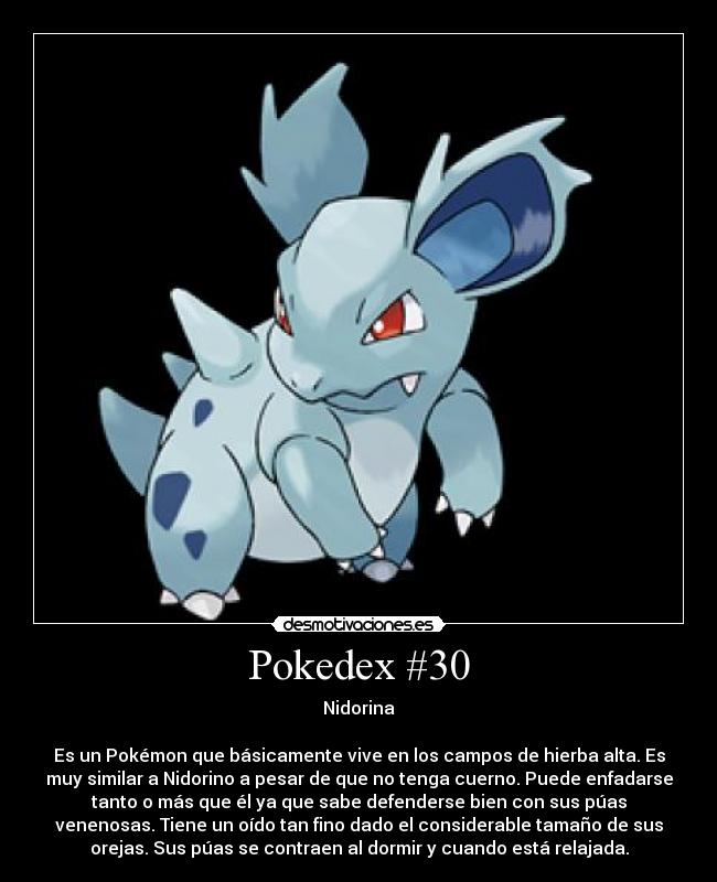 Pokedex #30 - Nidorina
Es un Pokémon que básicamente vive en los campos de hierba alta. Es
muy similar a Nidorino a pesar de que no tenga cuerno. Puede enfadarse
tanto o más que él ya que sabe defenderse bien con sus púas
venenosas. Tiene un oído tan fino dado el considerable tamaño de sus
orejas. Sus púas se contraen al dormir y cuando está relajada.