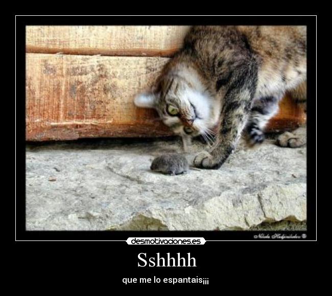 Sshhhh -