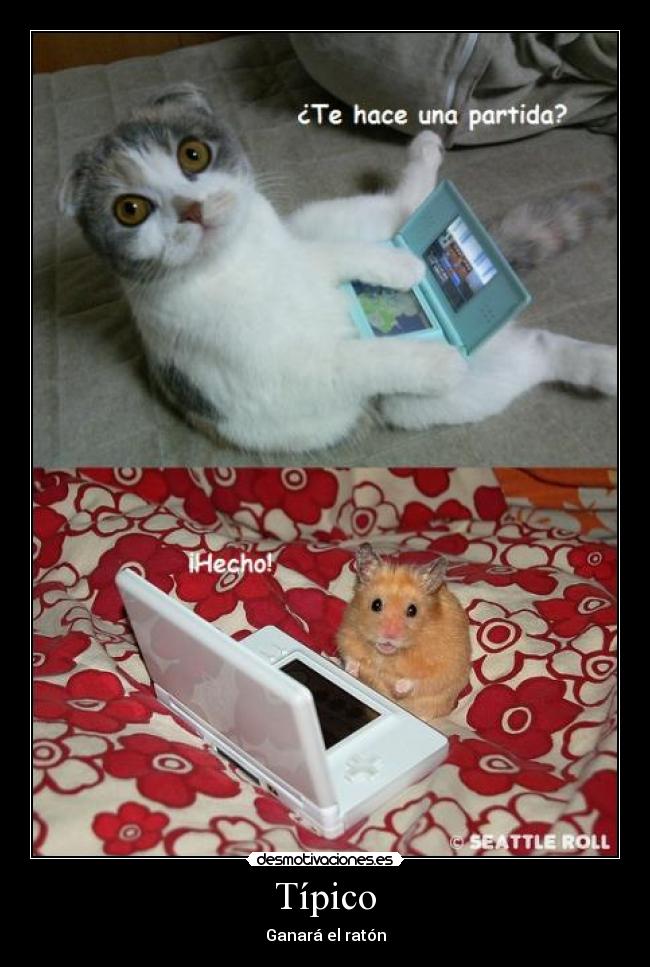 Típico - Ganará el ratón