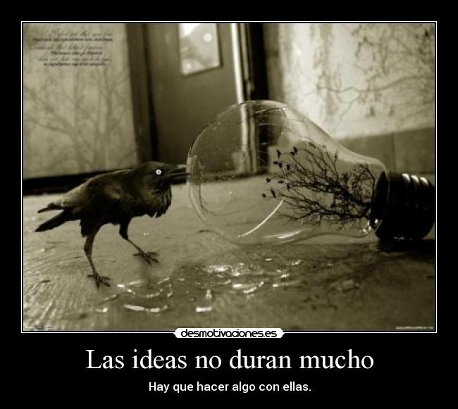 Las ideas no duran mucho - Hay que hacer algo con ellas.