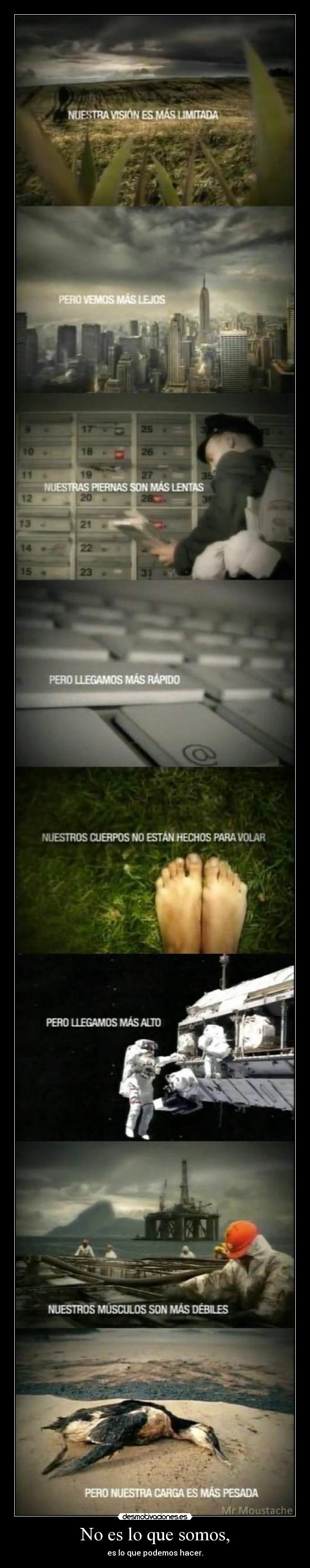 No es lo que somos, -