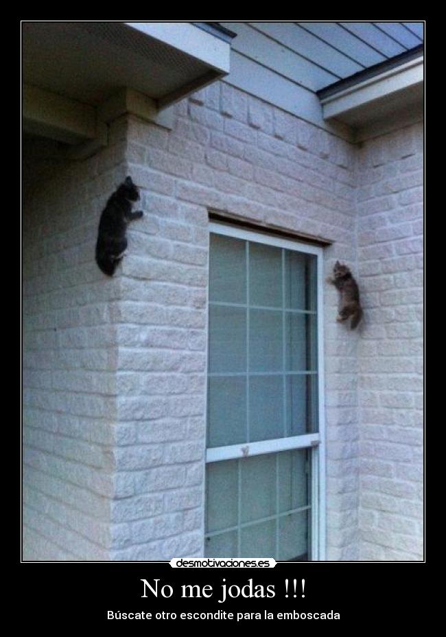 No me jodas !!! - Búscate otro escondite para la emboscada
