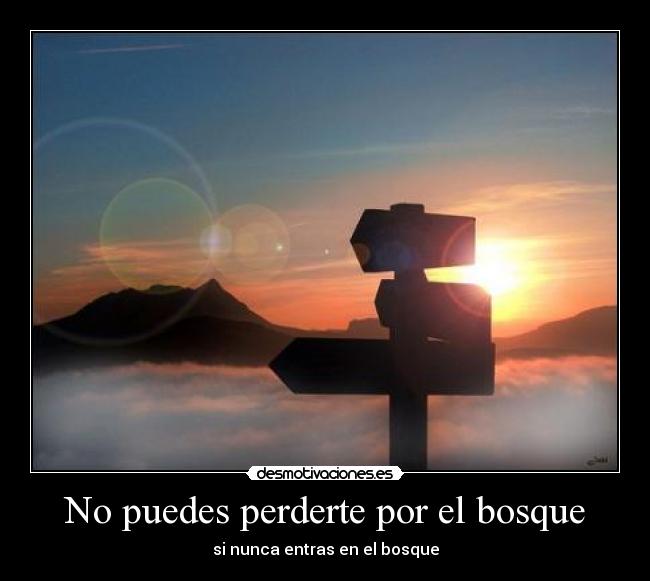 No puedes perderte por el bosque - si nunca entras en el bosque