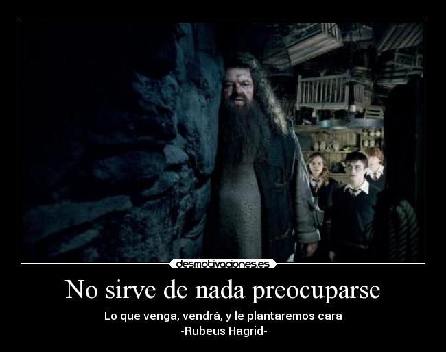 No sirve de nada preocuparse - Lo que venga, vendrá, y le plantaremos cara
-Rubeus Hagrid-