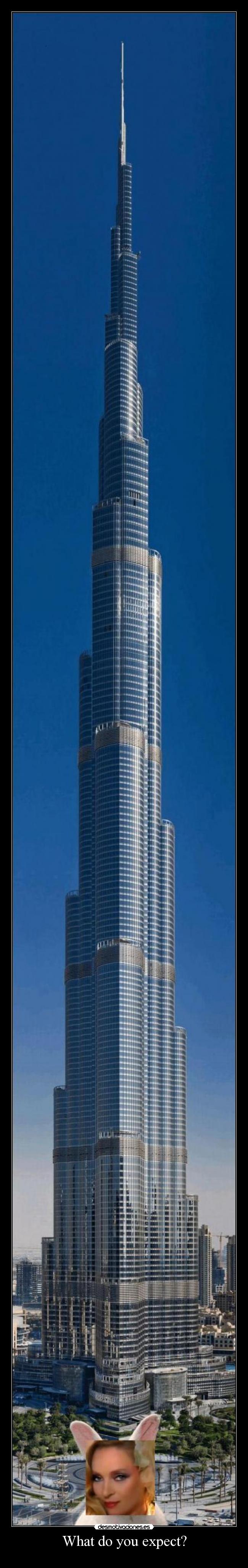 What do you expect? -