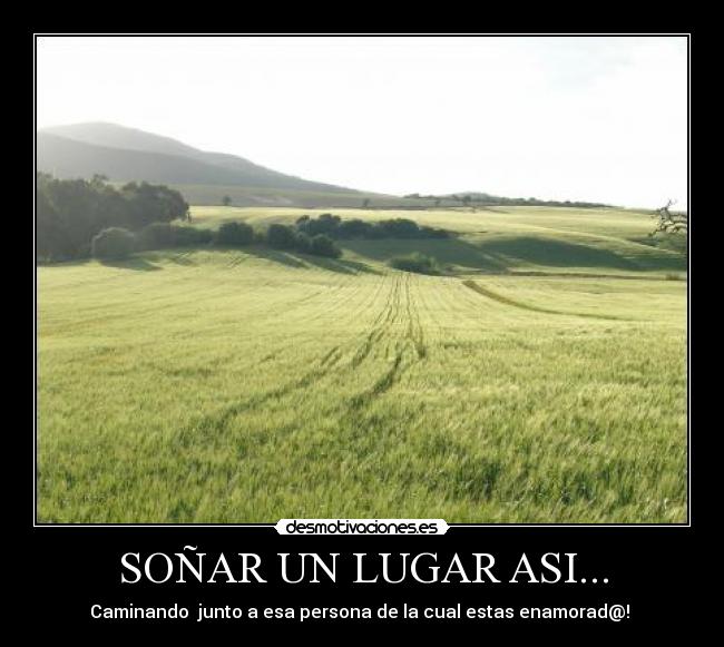 carteles sonar desmotivaciones