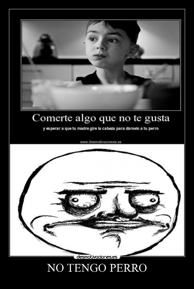 NO TENGO PERRO -