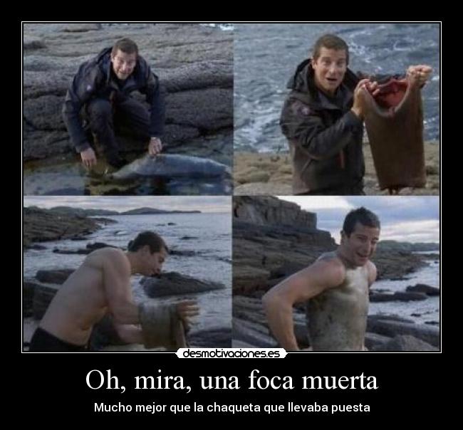 Oh, mira, una foca muerta - Mucho mejor que la chaqueta que llevaba puesta