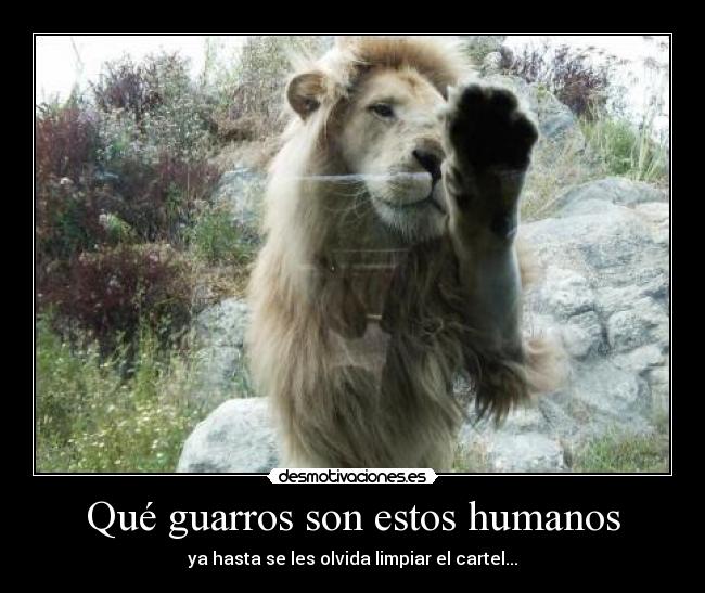Qué guarros son estos humanos -