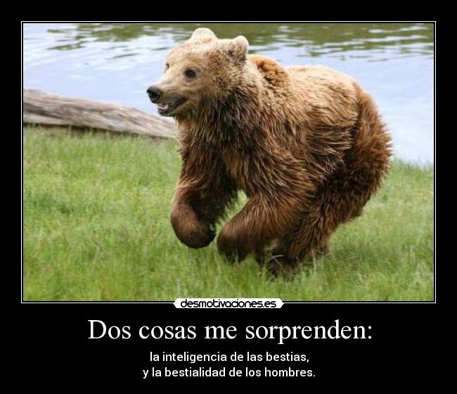 Dos cosas me sorprenden: -