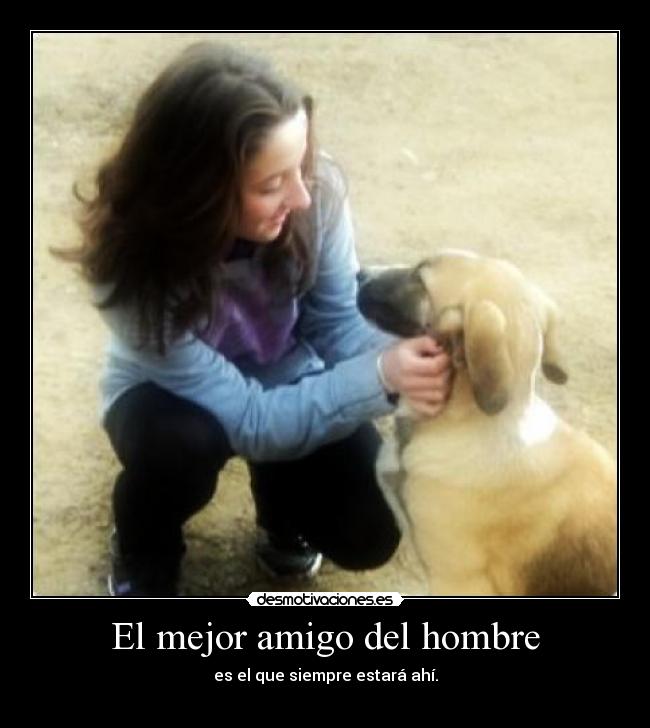 El mejor amigo del hombre - 