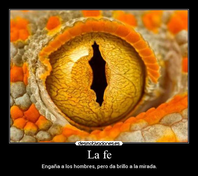 La fe - Engaña a los hombres, pero da brillo a la mirada.