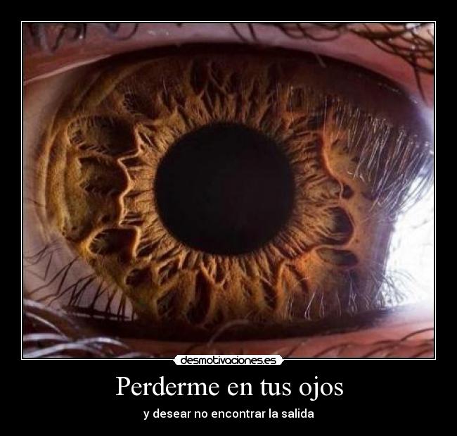 carteles quiero ojos desmotivaciones