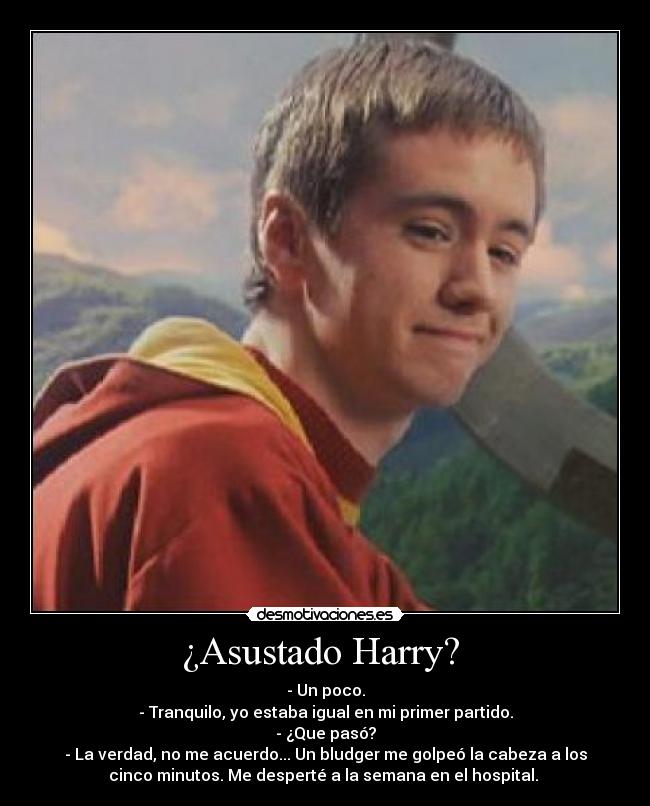 carteles harrypotteroliverwoodharrypottermegustaelpcio desmotivaciones