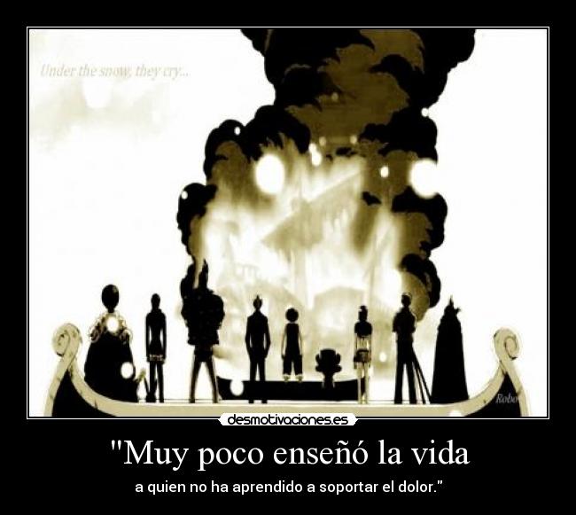 Muy poco enseñó la vida -