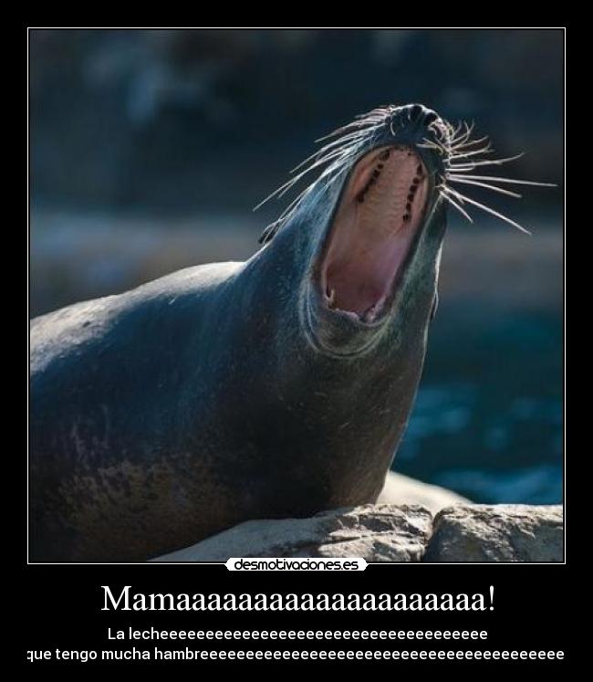 Mamaaaaaaaaaaaaaaaaaaaa! -