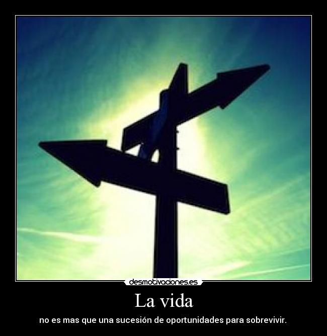 La vida - no es mas que una sucesión de oportunidades para sobrevivir.