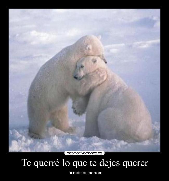 Te querré lo que te dejes querer - ni más ni menos
