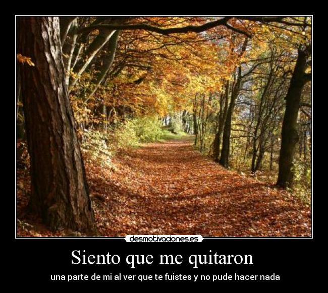 Siento que me quitaron  - 