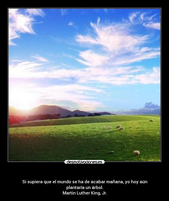 - Si supiera que el mundo se ha de acabar mañana, yo hoy aún plantaría un árbol.
Martin Luther King, Jr.
