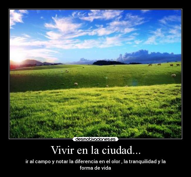 Vivir en la ciudad... -