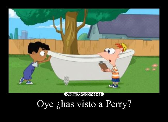 Oye ¿has visto a Perry? - 