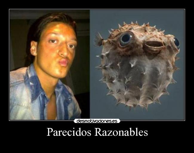 Parecidos Razonables - 