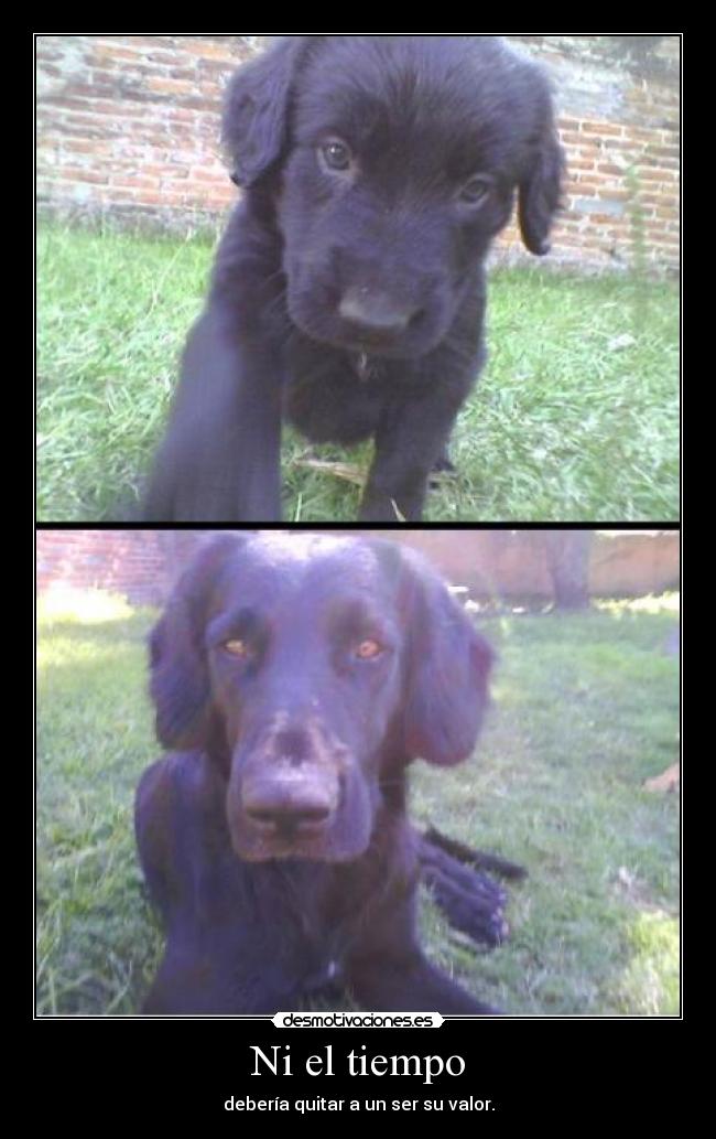 carteles tiempo deberia quitar ser valor desmotivaciones