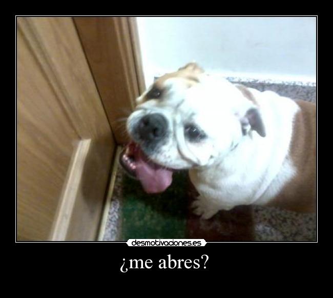 ¿me abres? -