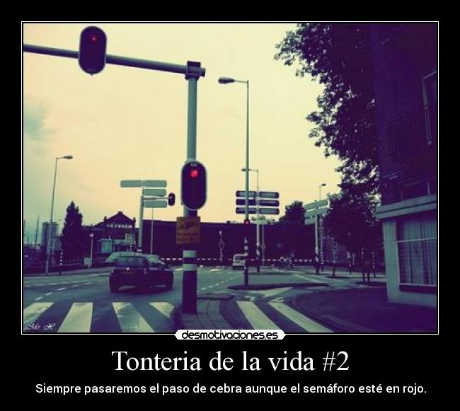 Tonteria de la vida #2 - Siempre pasaremos el paso de cebra aunque el semáforo esté en rojo.