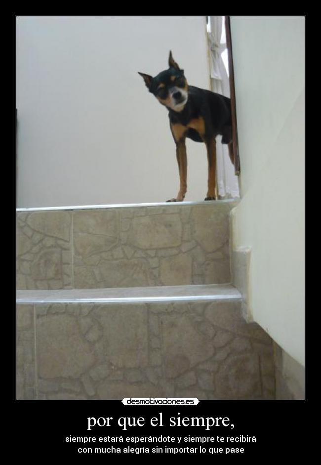 por que el siempre, -