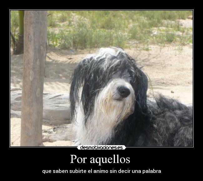 Por aquellos - que saben subirte el animo sin decir una palabra