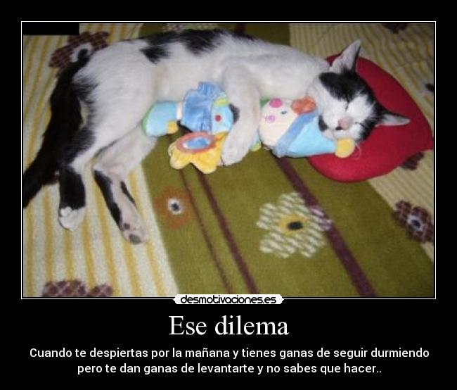 Ese dilema - 