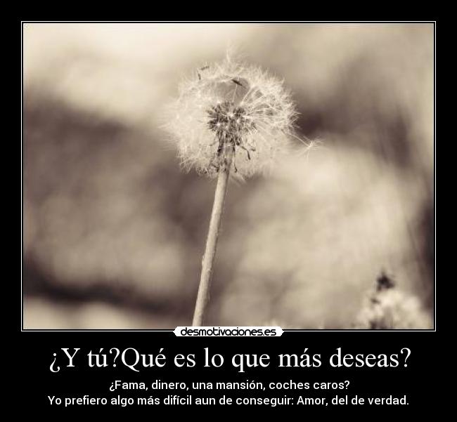 ¿Y tú?Qué es lo que más deseas? - ¿Fama, dinero, una mansión, coches caros?
Yo prefiero algo más difícil aun de conseguir: Amor, del de verdad.