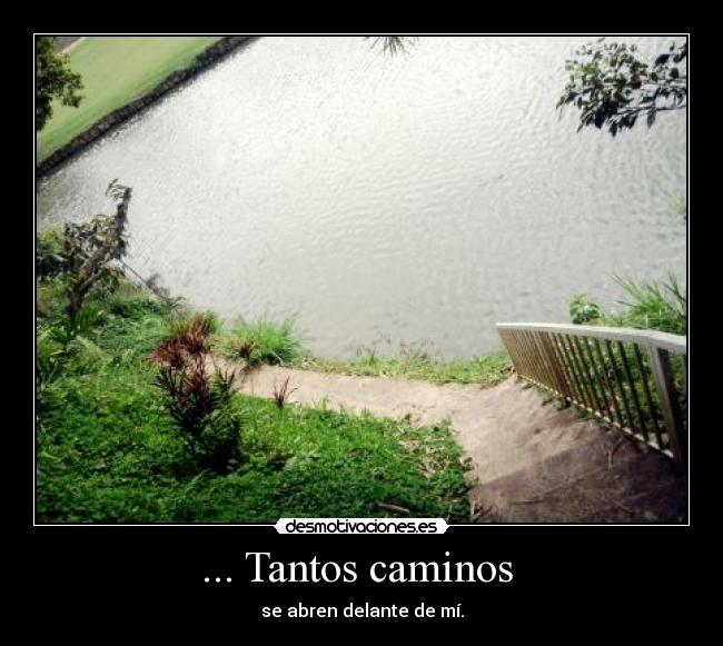... Tantos caminos - se abren delante de mí.