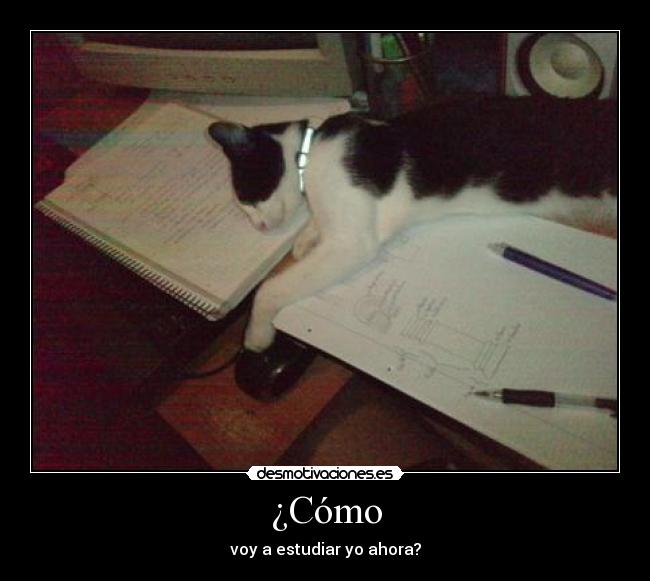 ¿Cómo - voy a estudiar yo ahora?
