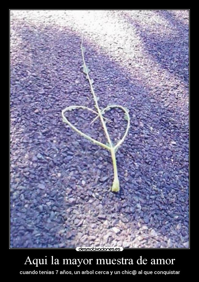 Aqui la mayor muestra de amor - 