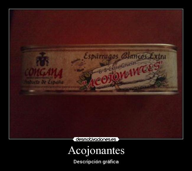 Acojonantes - Descripción gráfica