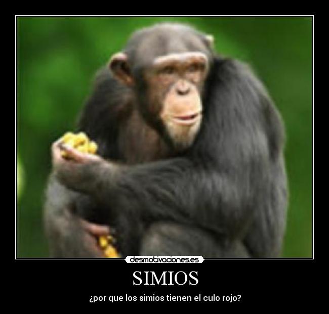 carteles  desmotivaciones