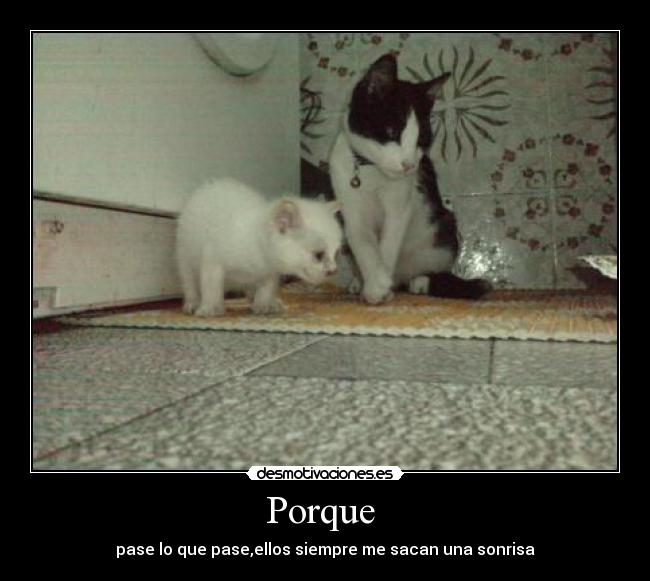 Porque  - 