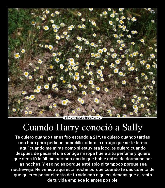 Cuando Harry conoció a Sally - Te quiero cuando tienes frío estando a 21º, te quiero cuando tardas
una hora para pedir un bocadillo, adoro la arruga que se te forma
aquí cuando me miras como si estuviera loco, te quiero cuando
después de pasar el día contigo mi ropa huele a tu perfume y quiero
que seas tú la última persona con la que hable antes de dormirme por
las noches. Y eso no es porque esté solo ni tampoco porque sea
nochevieja. He venido aquí esta noche porque cuando te das cuenta de
que quieres pasar el resto de tu vida con alguien, deseas que el resto
de tu vida empiece lo antes posible.