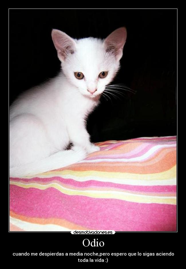 Odio -