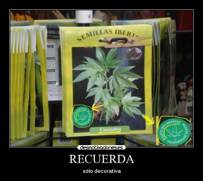 carteles  desmotivaciones