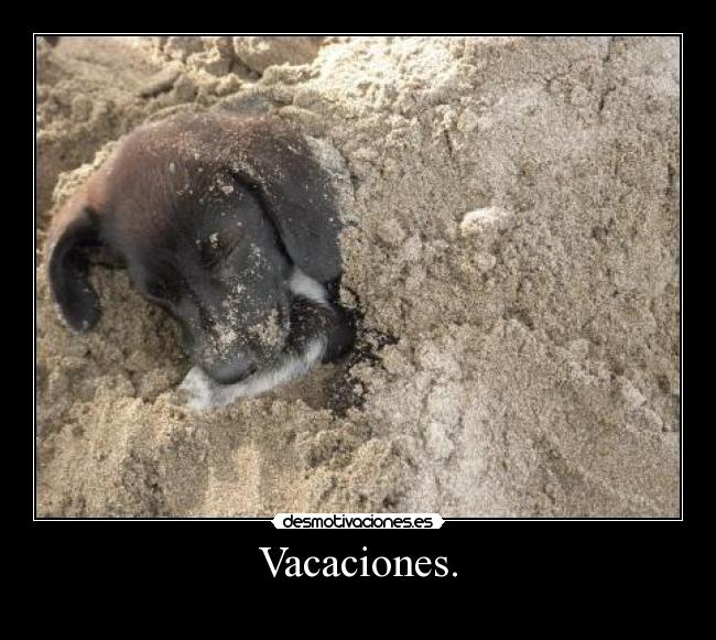 Vacaciones. -