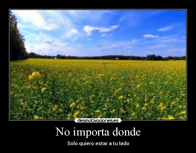 No importa donde - 