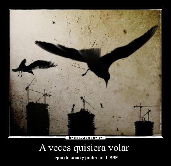 A veces quisiera volar  - 