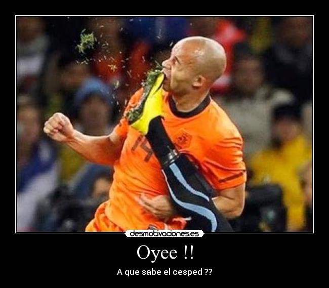 Oyee !! - A que sabe el cesped ??