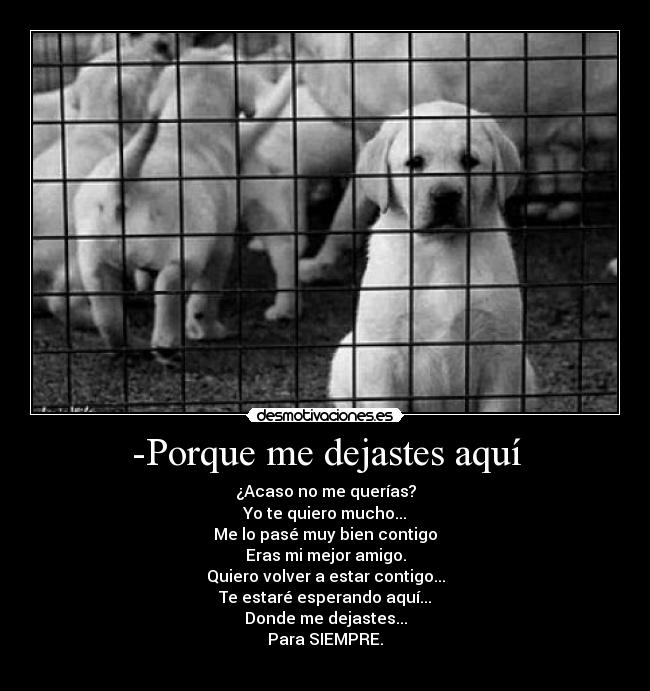 -Porque me dejastes aquí -