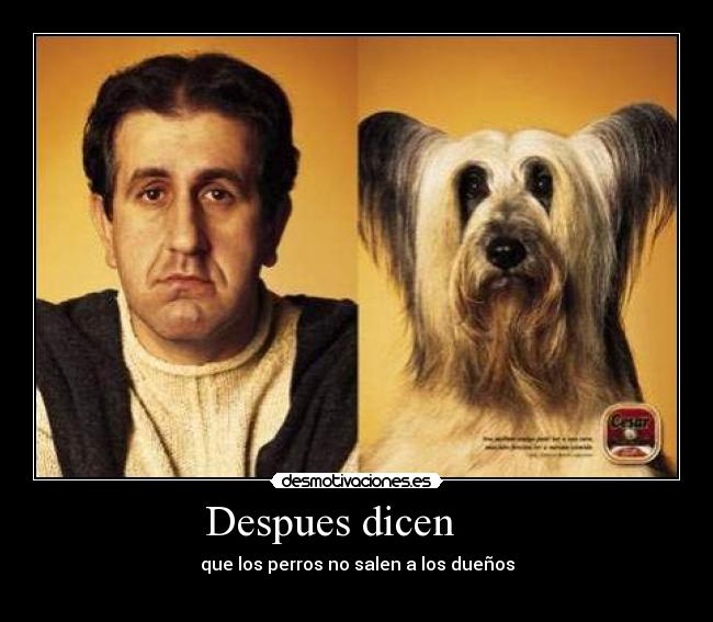 Despues dicen - que los perros no salen a los dueños