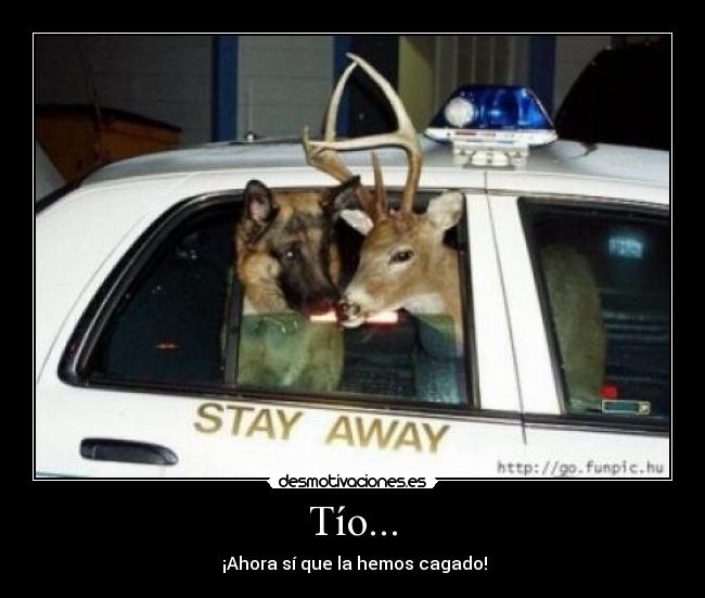 carteles  desmotivaciones